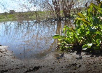 Por uso abusivo, MPPE recomenda fiscalização em barragens na zona rural de Bezerros