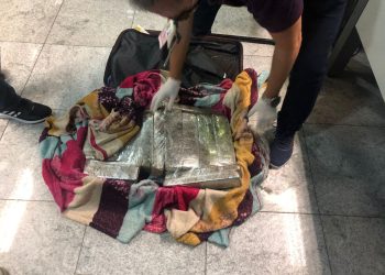 Mulher é presa com 17 quilos de maconha no Aeroporto dos Guararapes, no Recife