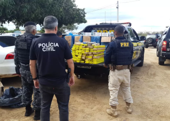 Drogas e produtos contrabandeados avaliados em R$ 2,8 milhões são apreendidos em Petrolina