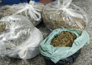 Polícia Militar prende três pessoas por tráfico de drogas em Gravatá