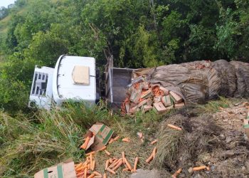 Motorista perde controle e caminhão tomba na BR 232, em Pombos