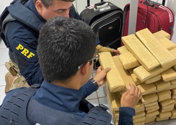 Homem é detido dentro de ônibus com 50 quilos de maconha, em Serra Talhada