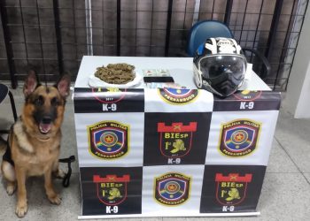 Homem é preso por tráfico de drogas, em Gravatá