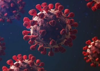 Maio se encerra como mês com menor número de mortes por Covid-19 desde o início da pandemia