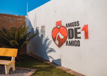 Centro de Castração de Animais de Rua é inaugurado em Bezerros