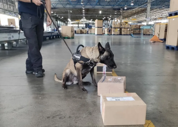 Cães localizam quatro quilos de cocaína e R$ 60 mil em notas falsas nos Correios, em Recife