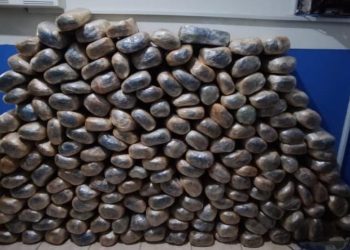 Polícia Militar apreende 192 quilos de maconha em Chã Grande