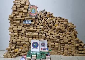 Polícia apreende mais de 500 quilos de drogas dentro de caminhão, no Recife