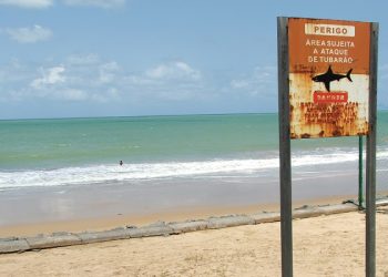 Governo de Pernambuco anuncia investimentos em pesquisas e monitoramento após ataques de tubarão