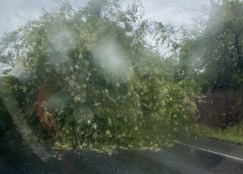 Chuvas intensas causam transtornos em rodovias de Pernambuco