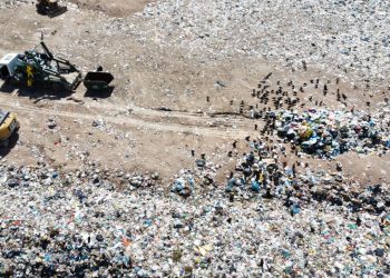 Em situação crítica, aterro sanitário vira lixão a céu aberto em Gravatá