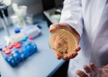 Número de casos de Candida auris sobe para 11 em Pernambuco