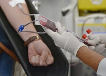 Hemope promove ação de coleta de sangue em Gravatá; saiba mais