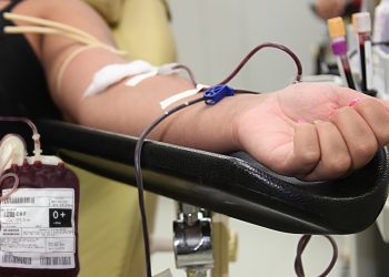 Hemope promove campanha de doação de sangue até sábado (18) em Gravatá; saiba mais