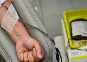 Campanha de doação de sangue acontece em Gravatá neste sábado (14); saiba mais