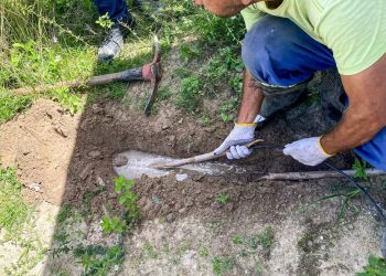 Fiscalização da Compesa identifica furto de água em dois imóveis no bairro Jardim Petrópolis, em Gravatá