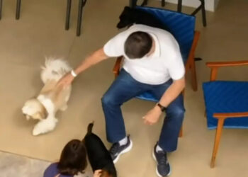 Bolsonaro recebe alta e passa a cumprir prisão domiciliar por 90 dias