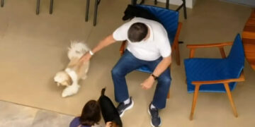 Bolsonaro recebe alta e passa a cumprir prisão domiciliar por 90 dias